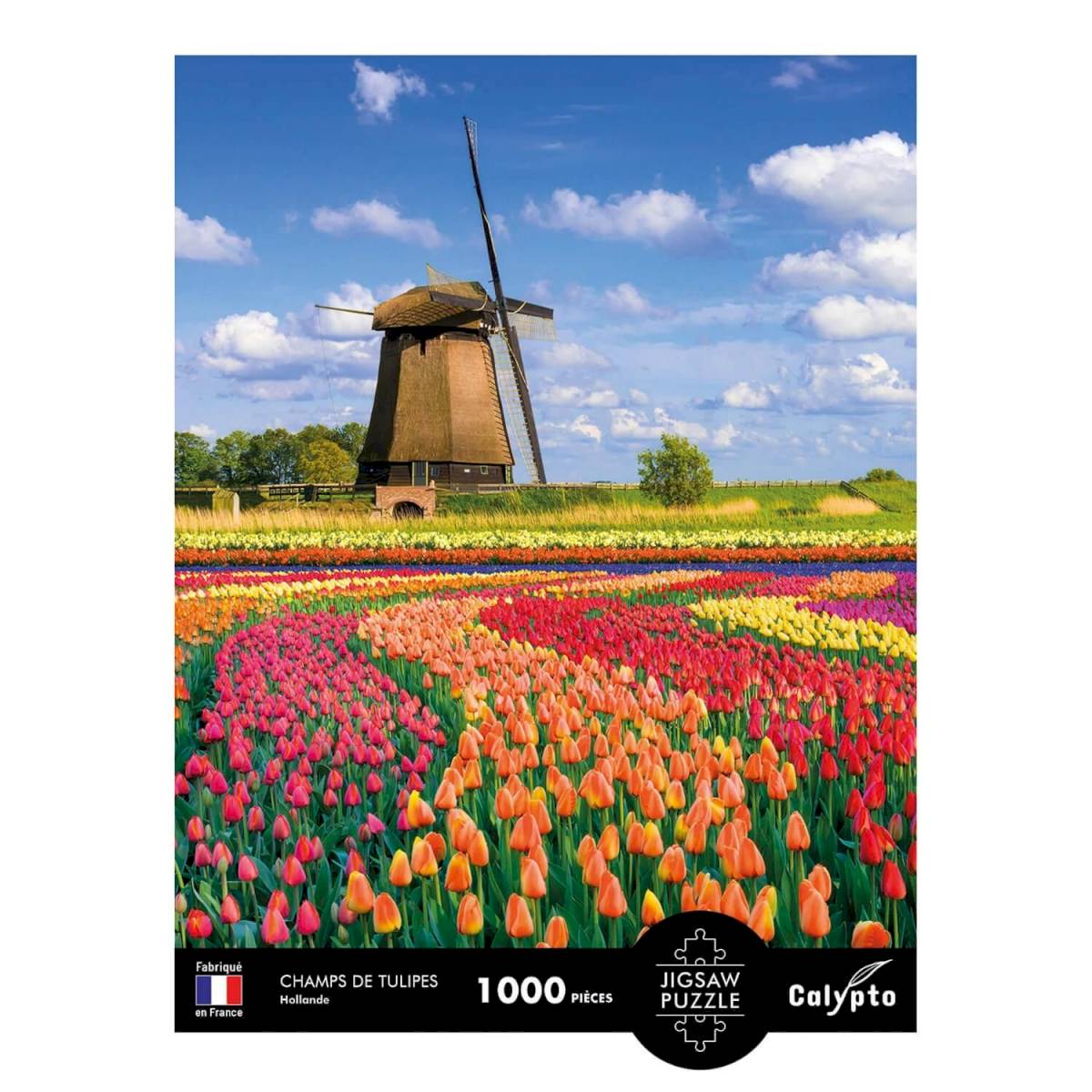 Puzzle 1000 pièces - Champs de tulipes Hollande