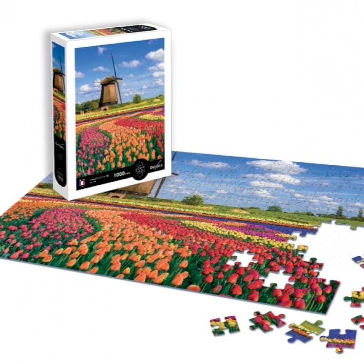 Puzzle 1000 pièces - Champs de tulipes Hollande