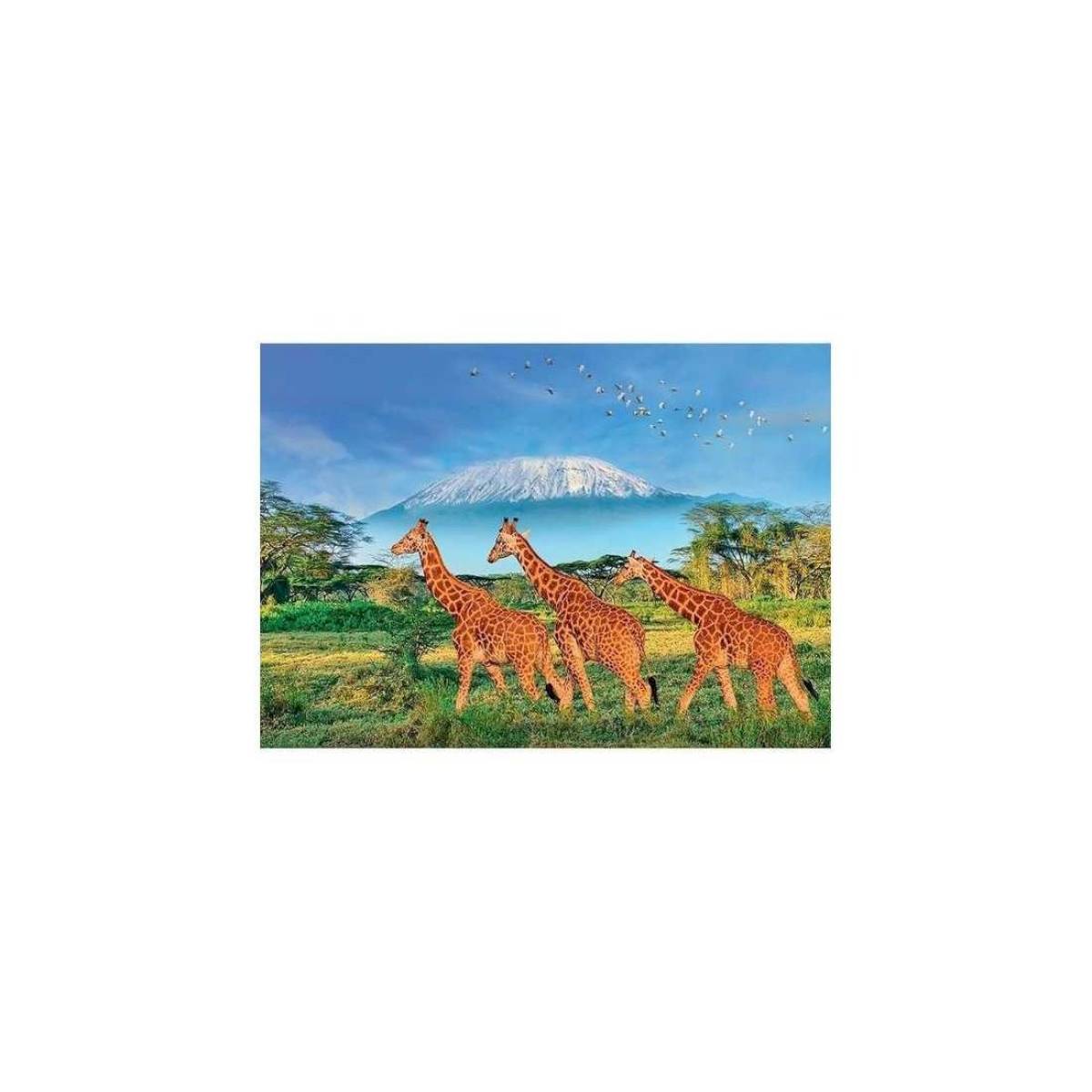 Puzzle 500 pièces XL - Chevaux en Camargue(dupliqué)