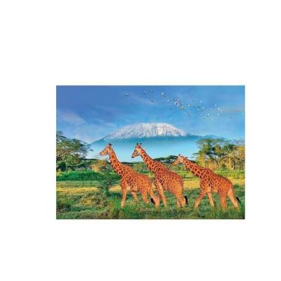 Puzzle 500 pièces XL - Girafes