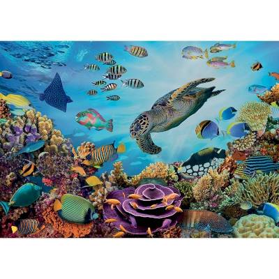 Puzzle 500 pièces XL - Fonds marins Puzzle 500 pièces XL - Fonds marins