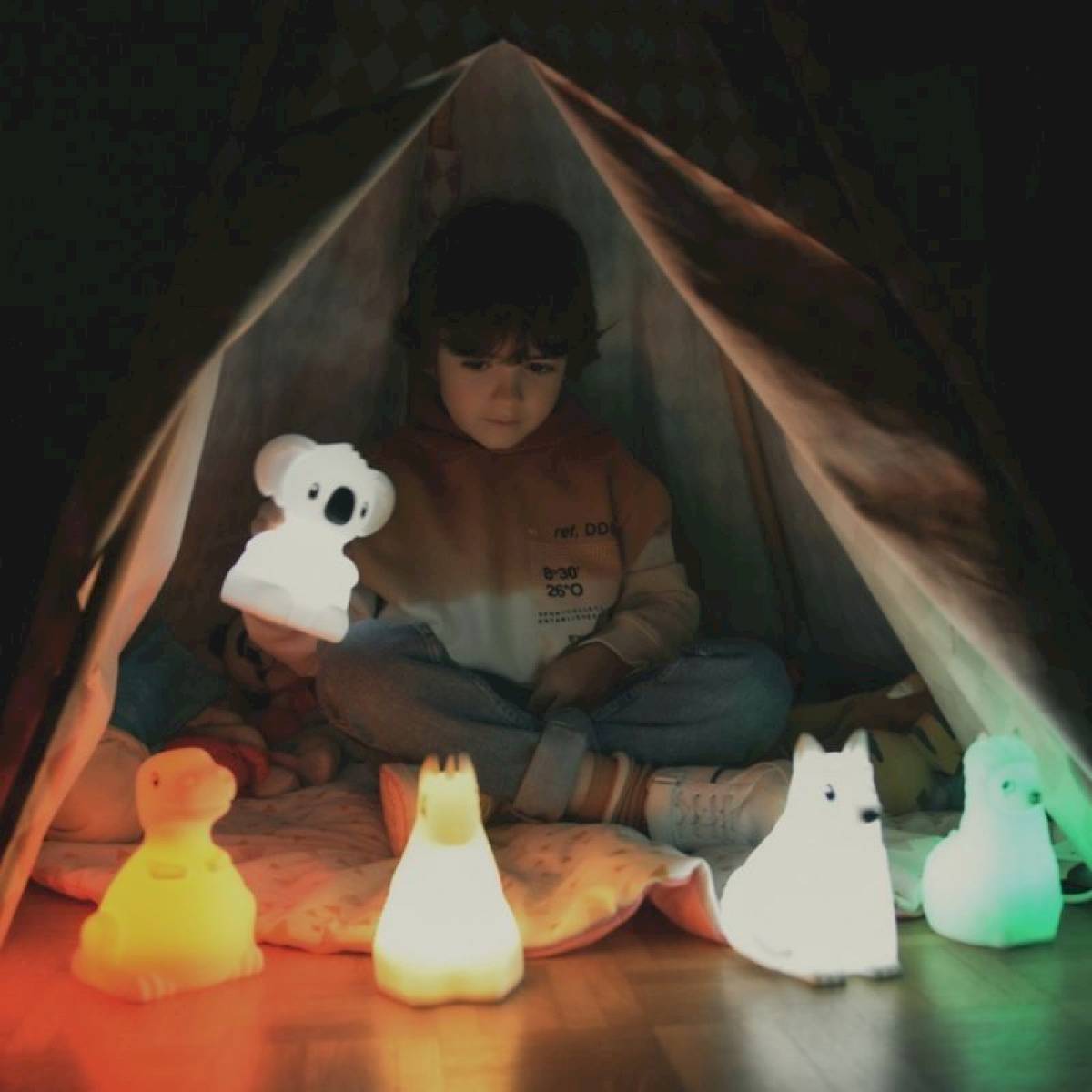 Veilleuse Koala - Kidynight