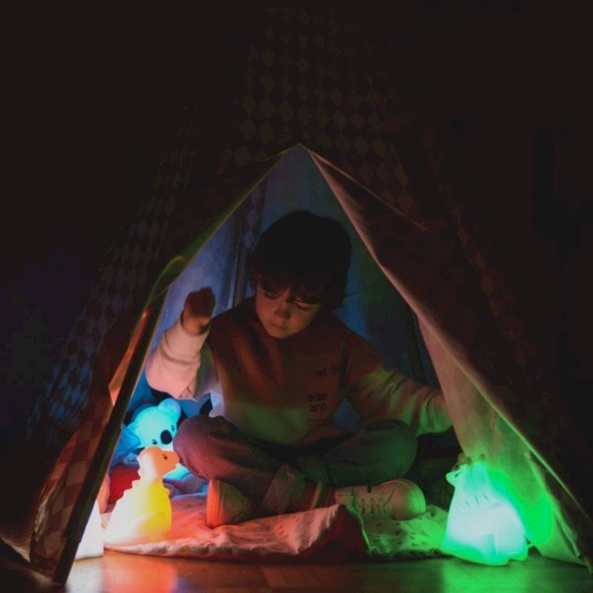 Veilleuse Koala - Kidynight