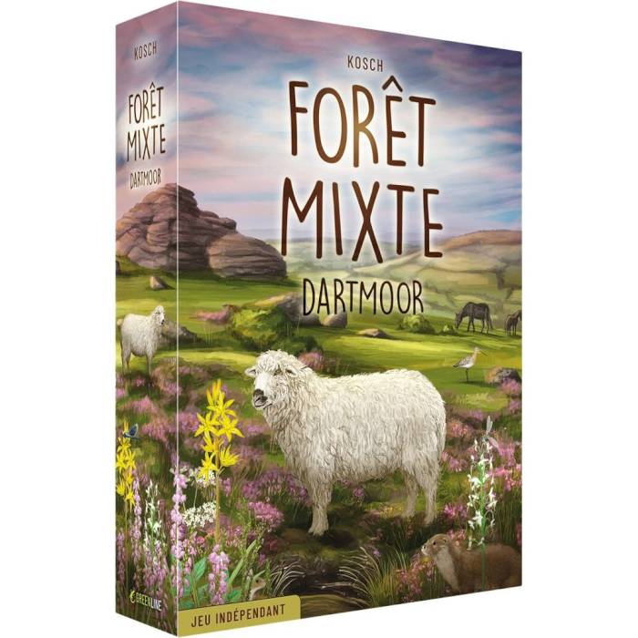 Forêt mixte : Dartmoor
