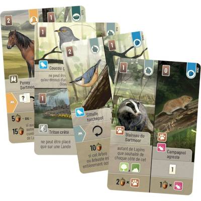 Forêt mixte(dupliqué)