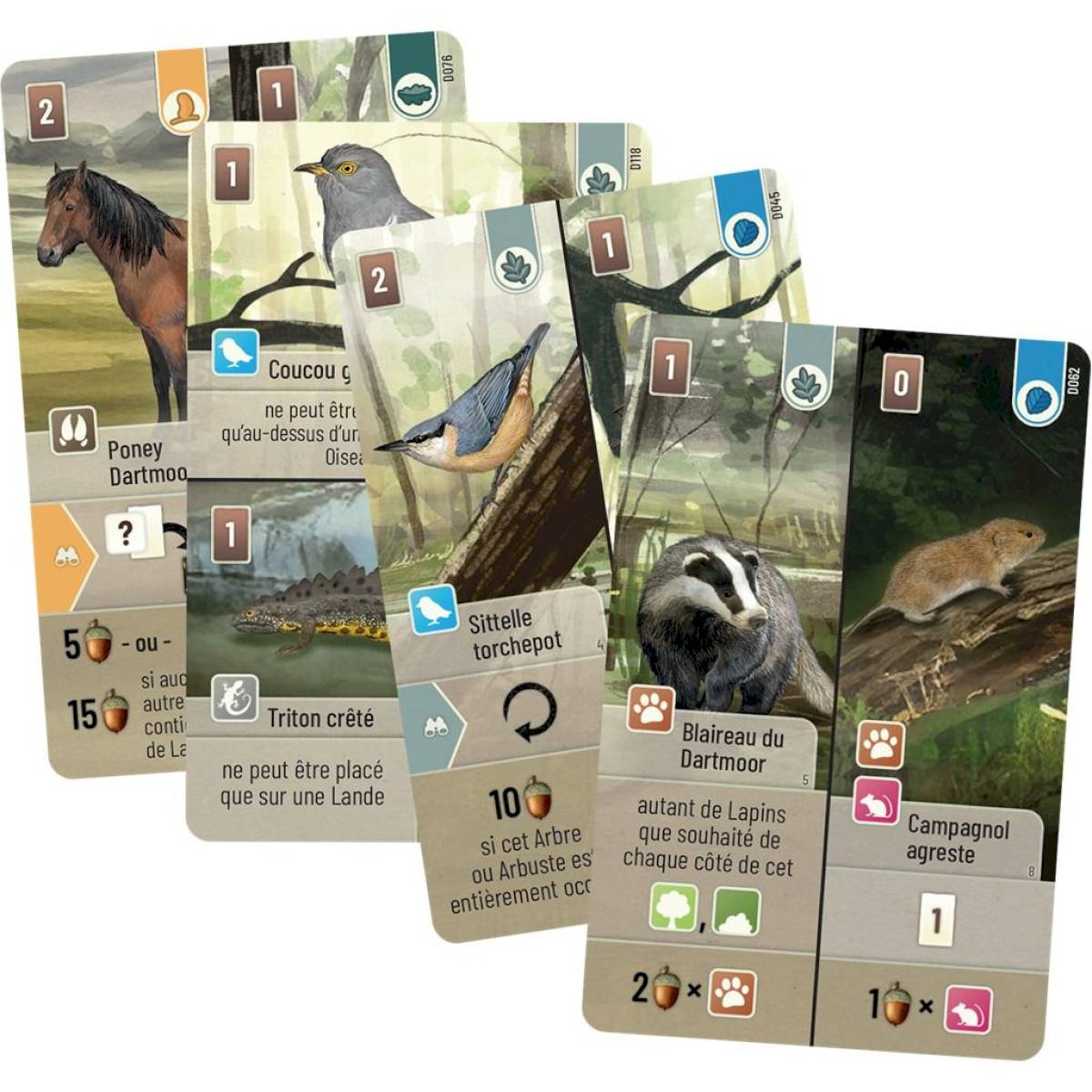 Forêt mixte(dupliqué)