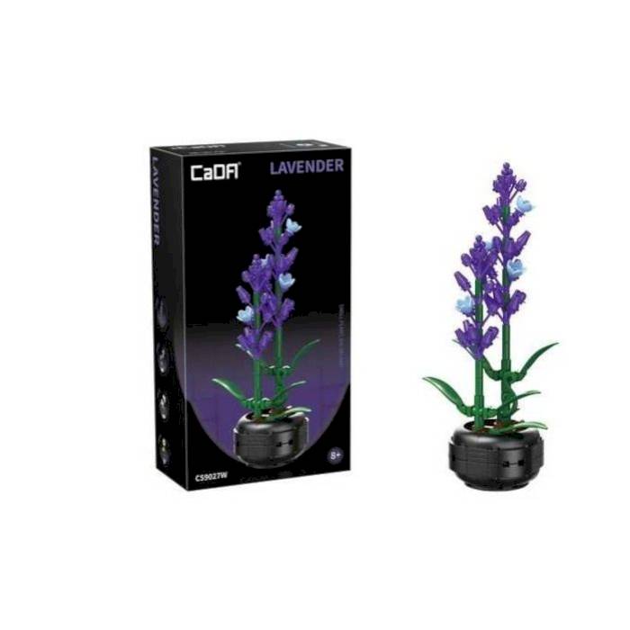 Lavande en pot CaDa 205 pièces