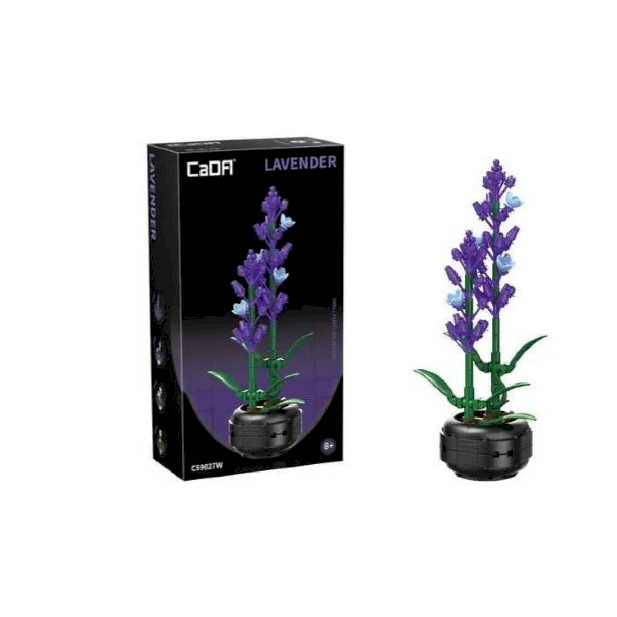 Lavande en pot CaDa 205 pièces