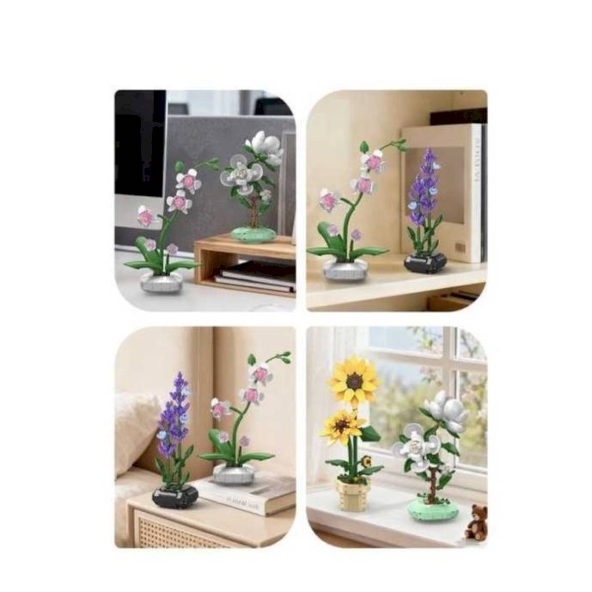 Orchidée en pot CaDa 237 pièces