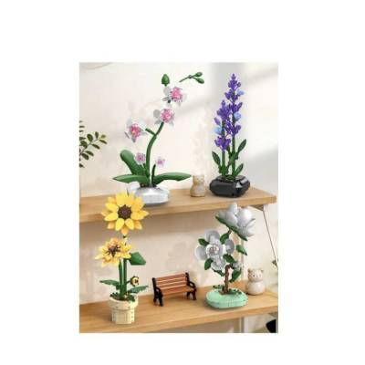 Orchidée en pot CaDa 237 pièces