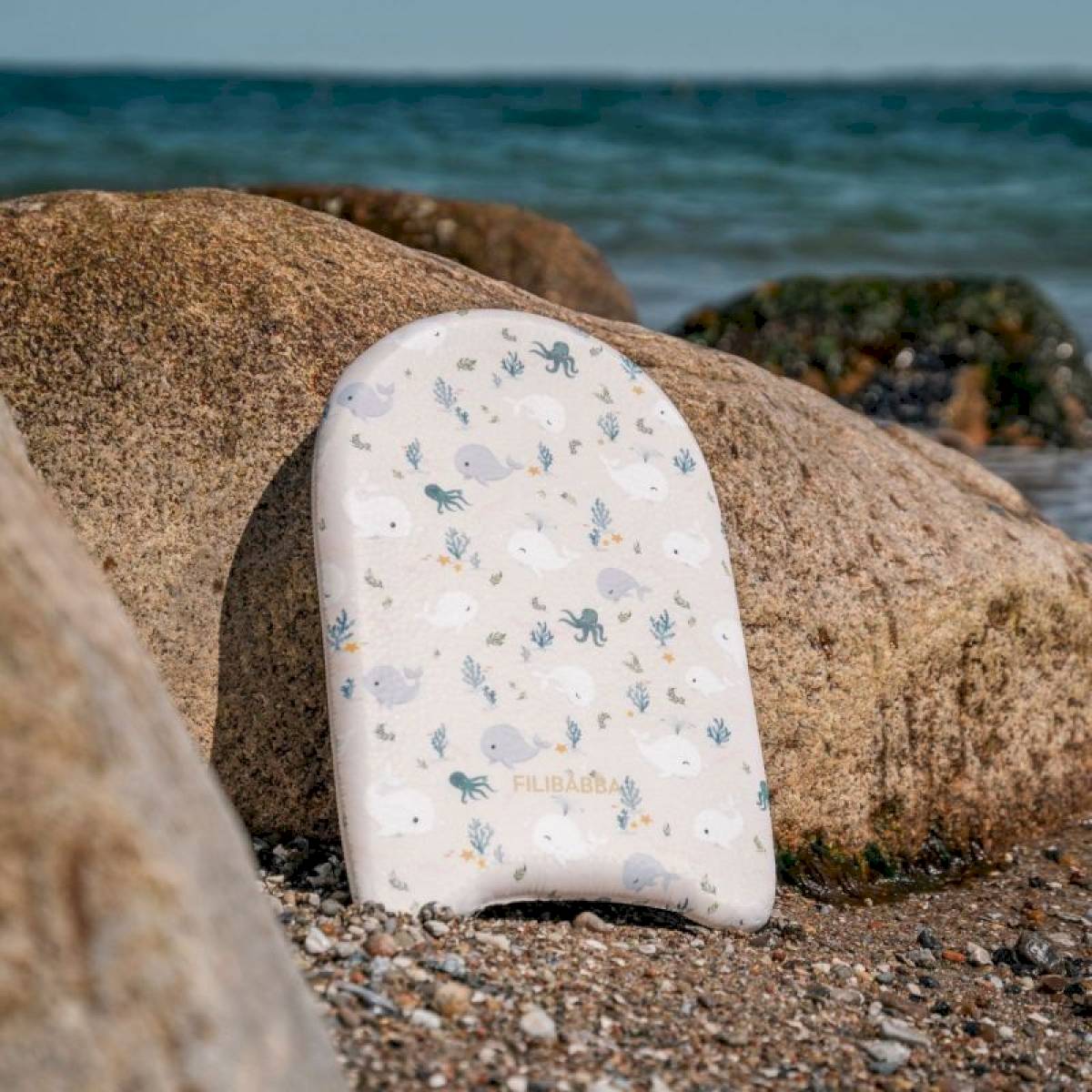 Planche de natation Christian la Baleine
